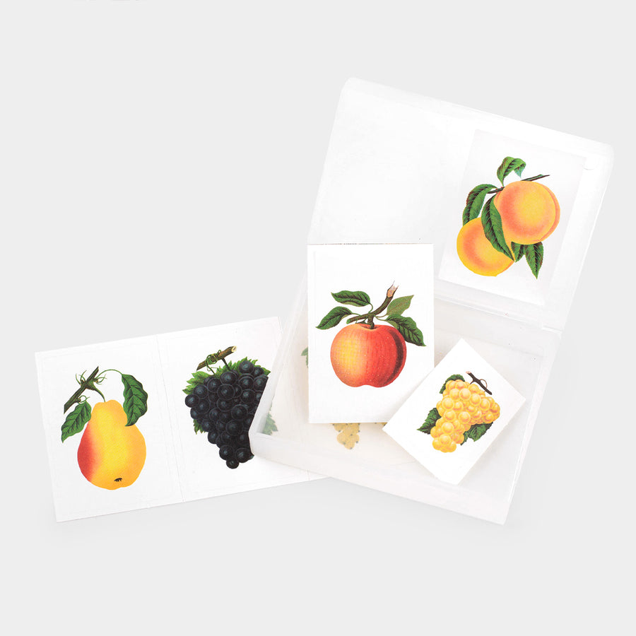 Sticker Pack - Fruits