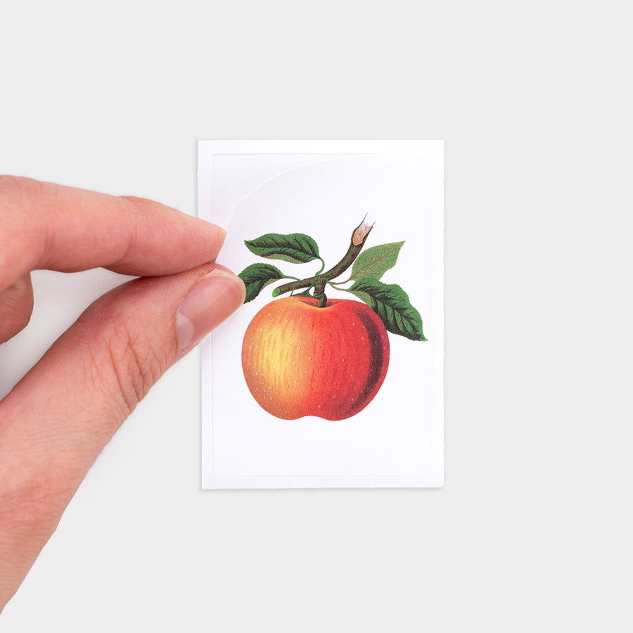 Sticker Pack - Fruits