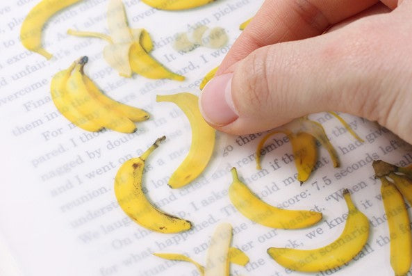 Fruit Sticker - Banana Cheonyu