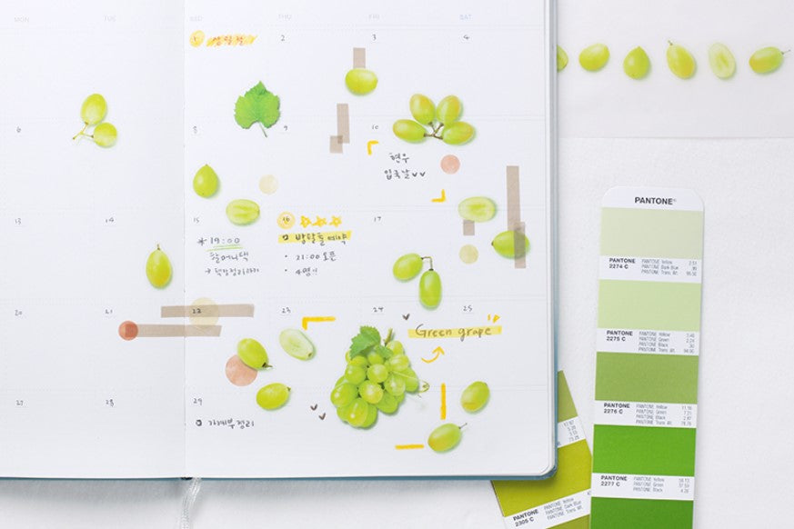 Fruit Sticker - Green Grape Cheonyu