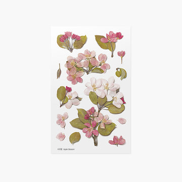 Pressed Flower Sticker Apple Blossom Cheonyu