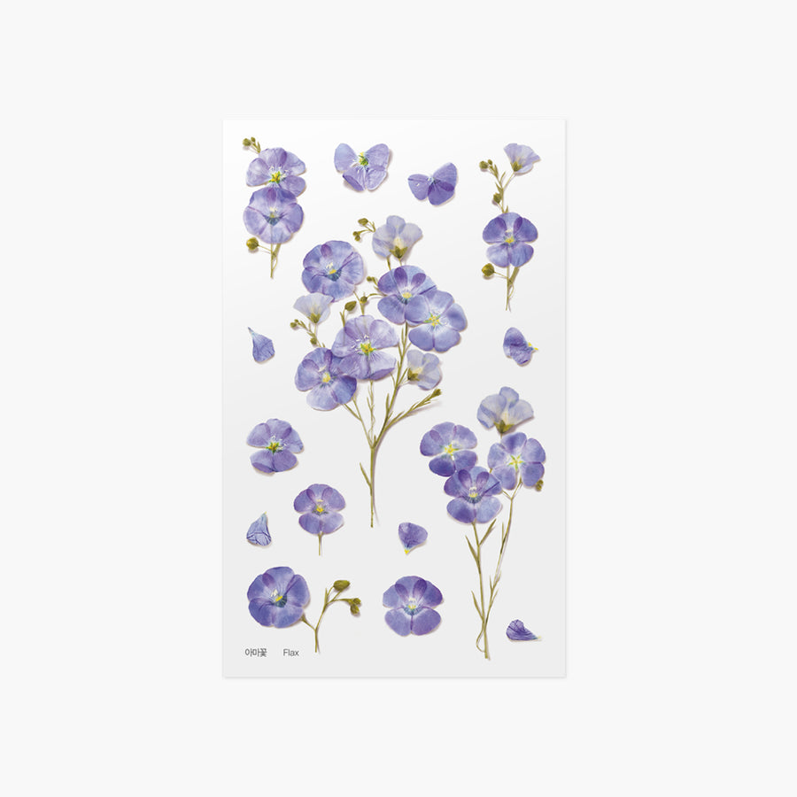 Pressed Flower Sticker Flax Cheonyu