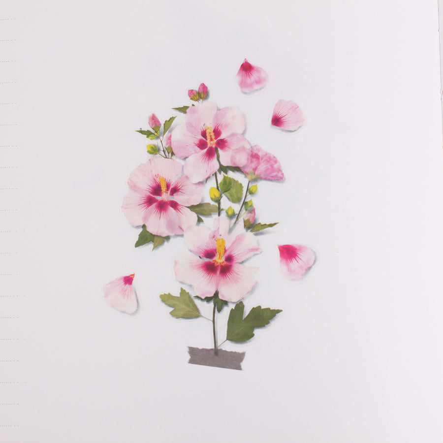 Pressed Flower Sticker Rose of Sharon Cheonyu