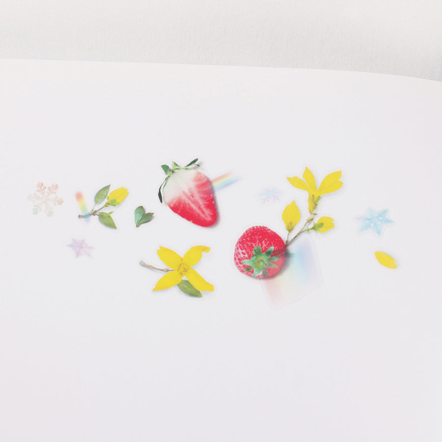 Fruit Sticker - Strawberry Cheonyu