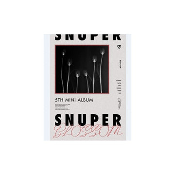 스누퍼-snuper-5th-mini-album-blossom
